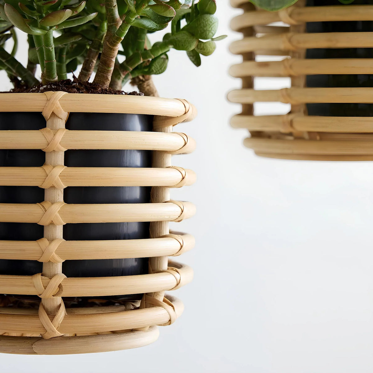 Rattan Hanging Plant Pots - Set of 2 — Canewoven
