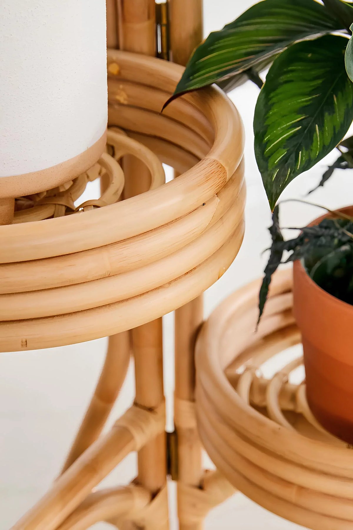 Rattan Plant Pots | Cane Flower Pots | Bamboo Planter - Large — Canewoven