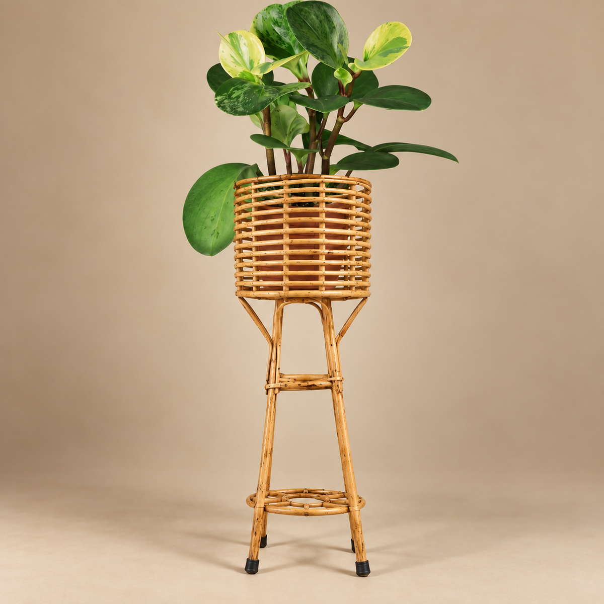 Handmade Cane Bamboo Standing Planter (Set of 1) Stand for Garden, Balcony Home and Office — Canewoven