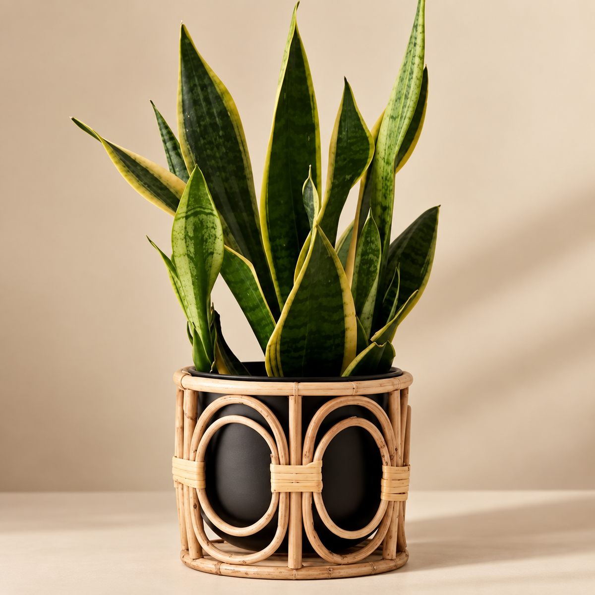 Cane Bamboo Rattan Wooden Planter Stand for Garden, Balcony Home and Office | 10W × 10H Inch — Canewoven